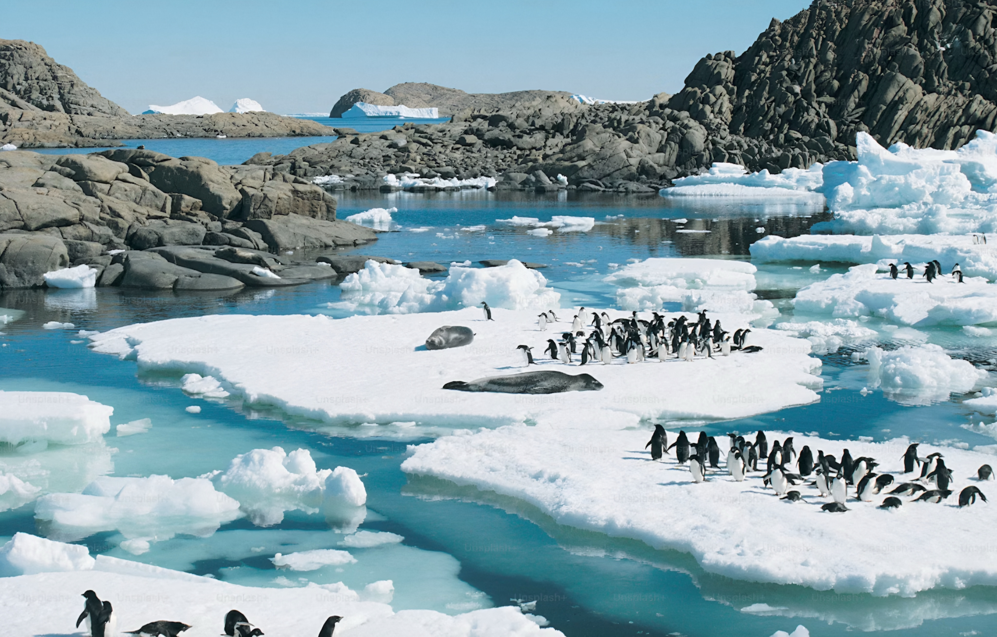 Antarctica