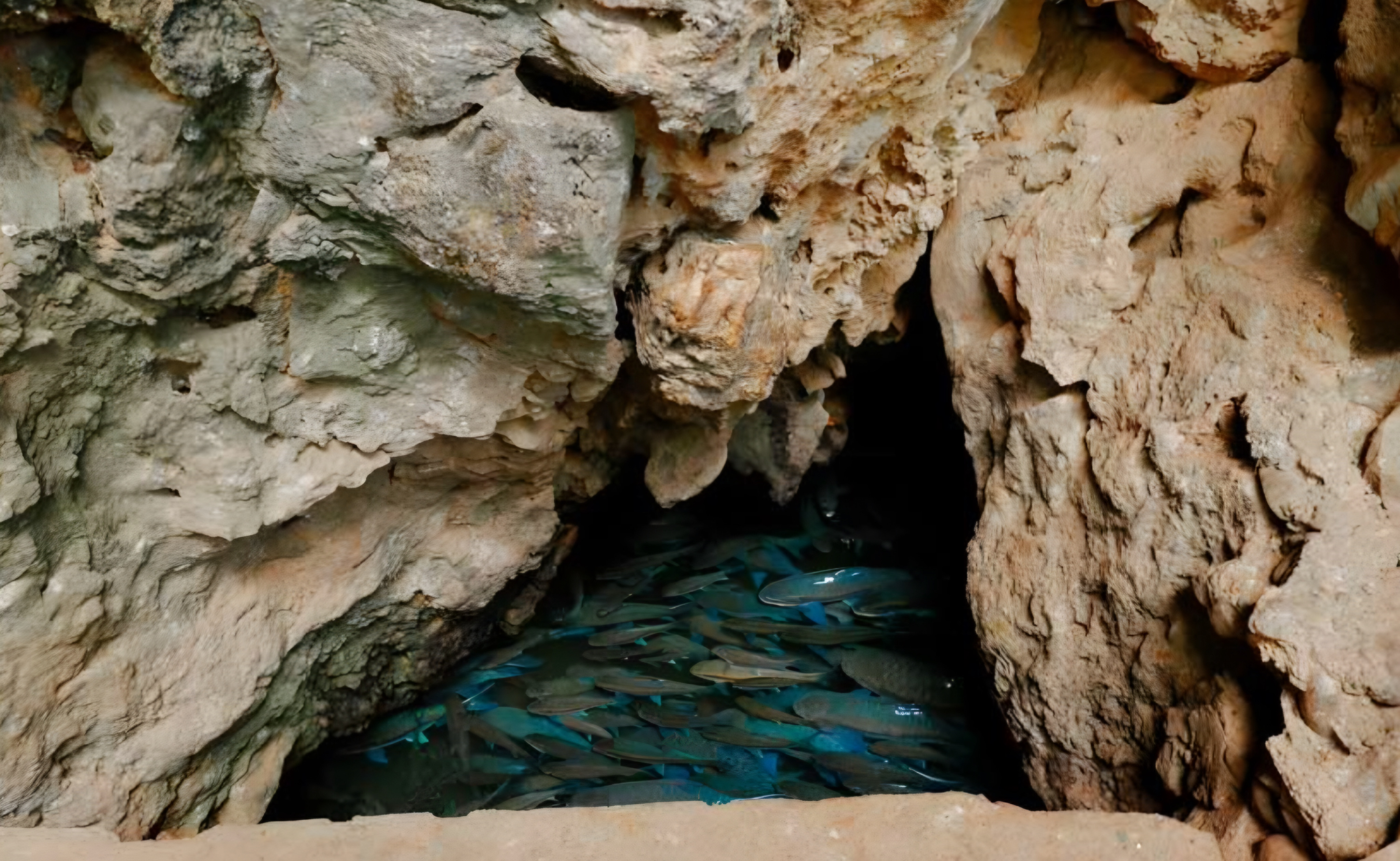 Tham Pla Fish Cave